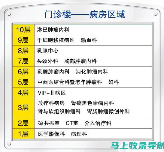 全方位指南：抖音站长赚钱项目的运营技巧与成功案例