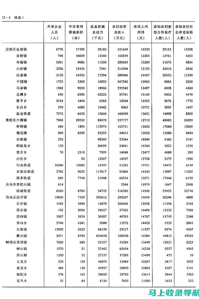 乡镇统计站站长职级解析：从职责到级别的全面探讨